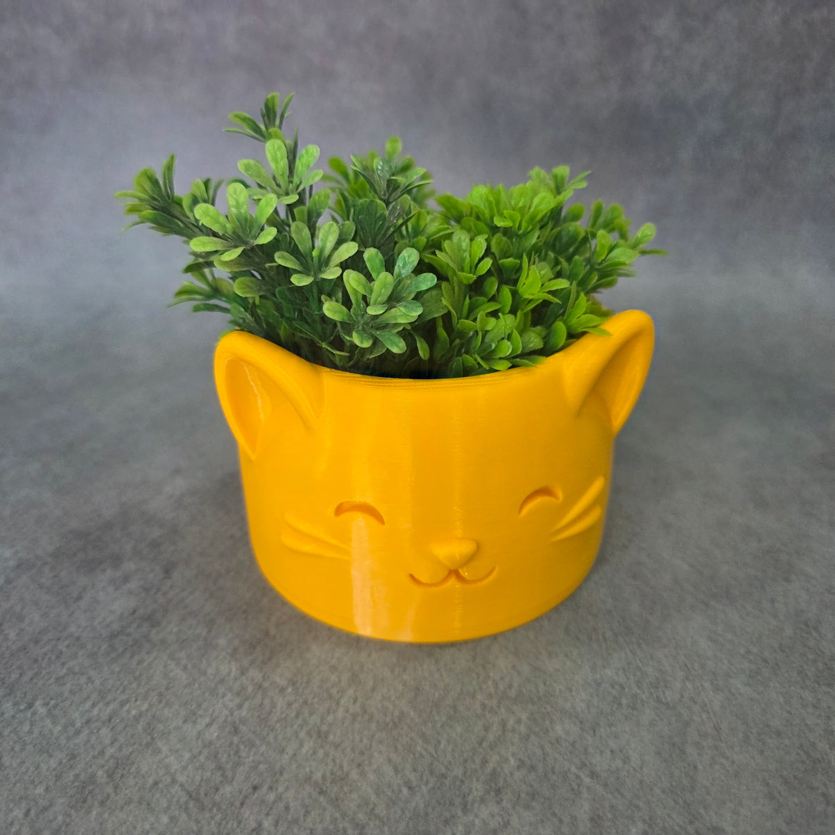 Cat Face Shaped Tree Planter | Cat Face Inspired Flower Pot