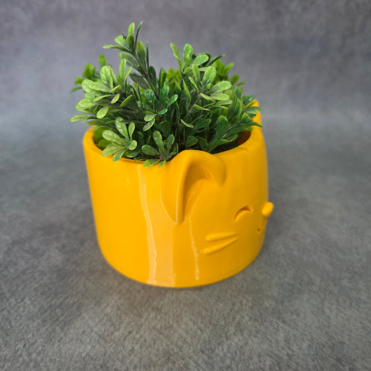 Cat Face Shaped Tree Planter | Cat Face Inspired Flower Pot